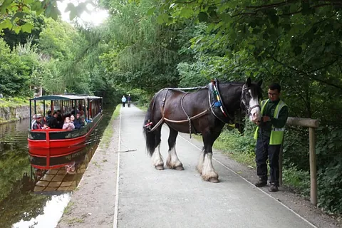 horse drawn boats