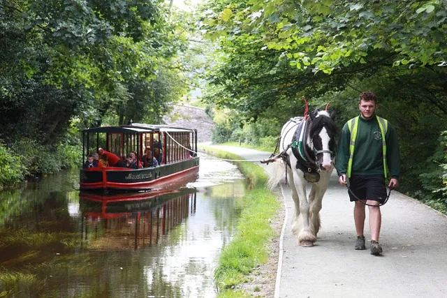 public horse drawn boat trip - 2 hours